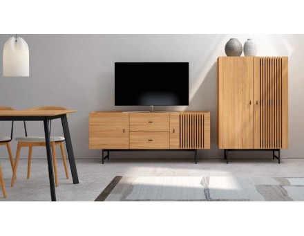 MODULO TV SAMURAI 2