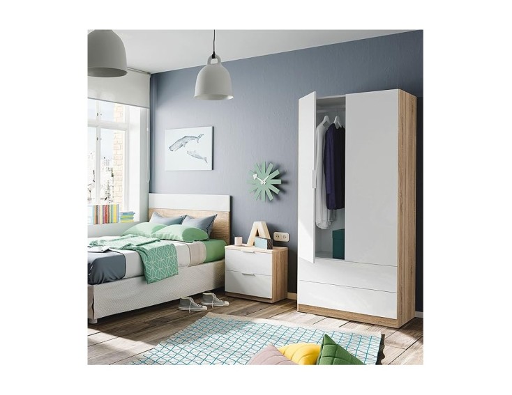 ARMARIO DE 2 PUERTAS Y 2 CAJONES