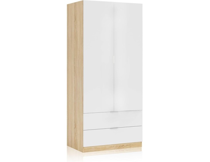 ARMARIO DE 2 PUERTAS Y 2 CAJONES