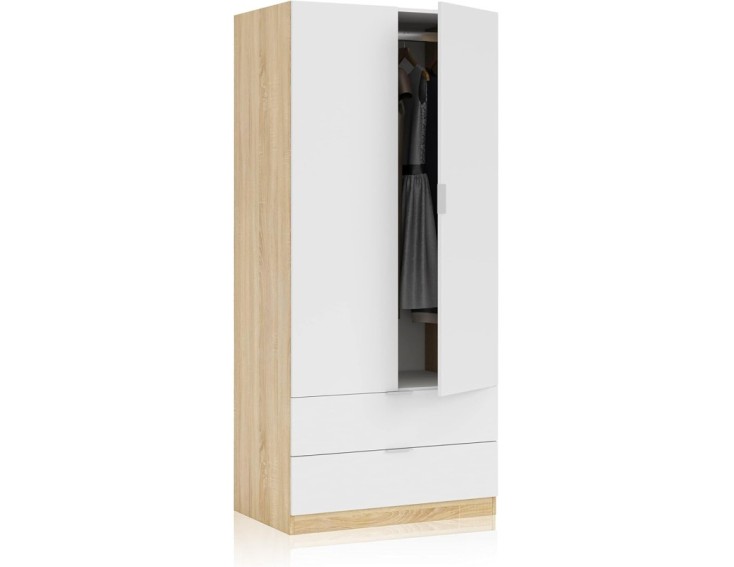 ARMARIO DE 2 PUERTAS Y 2 CAJONES